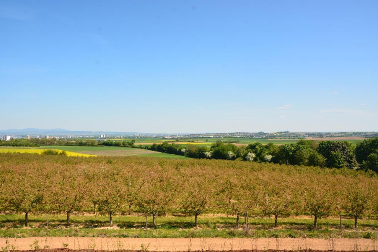 Weingut Bugner Meizelhof Klein-Winternheim Ngoại thất bức ảnh