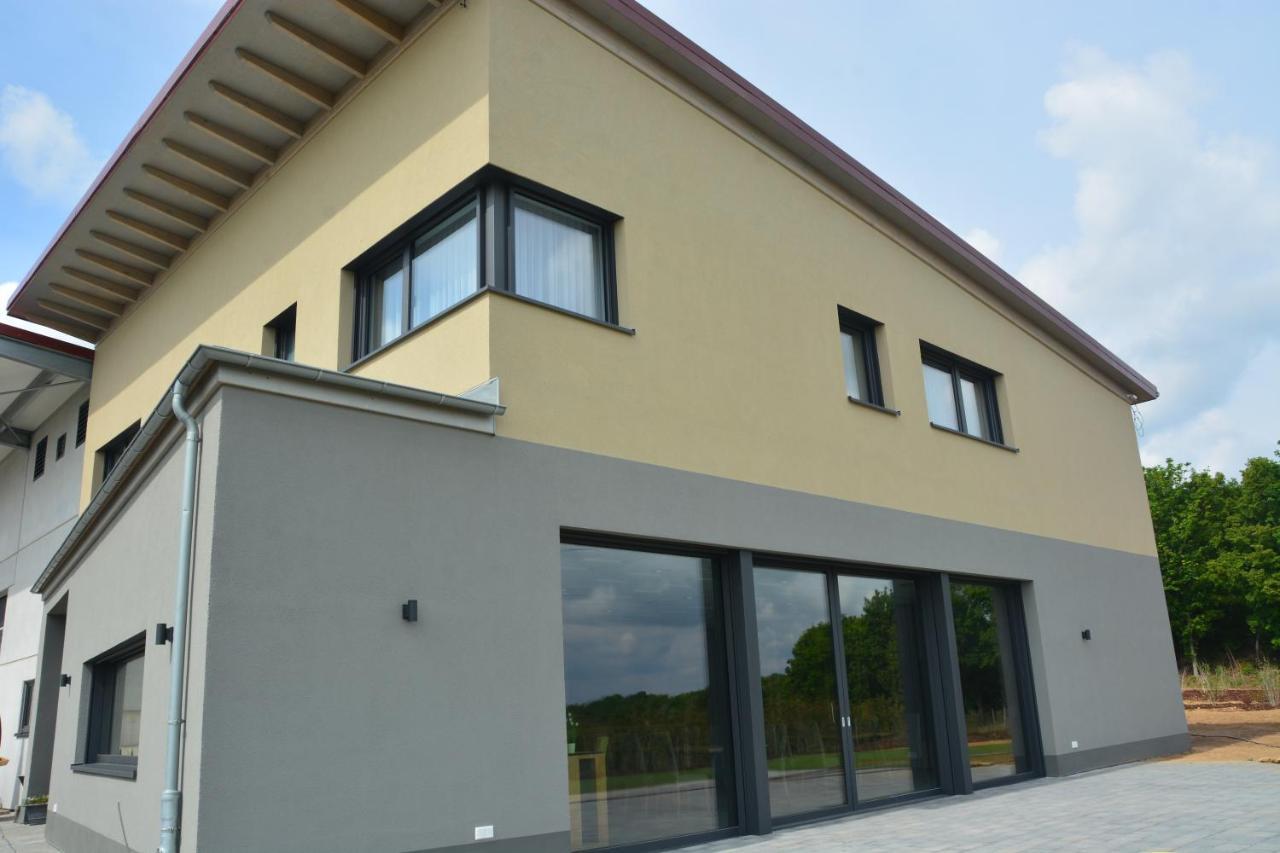 Weingut Bugner Meizelhof Klein-Winternheim Ngoại thất bức ảnh