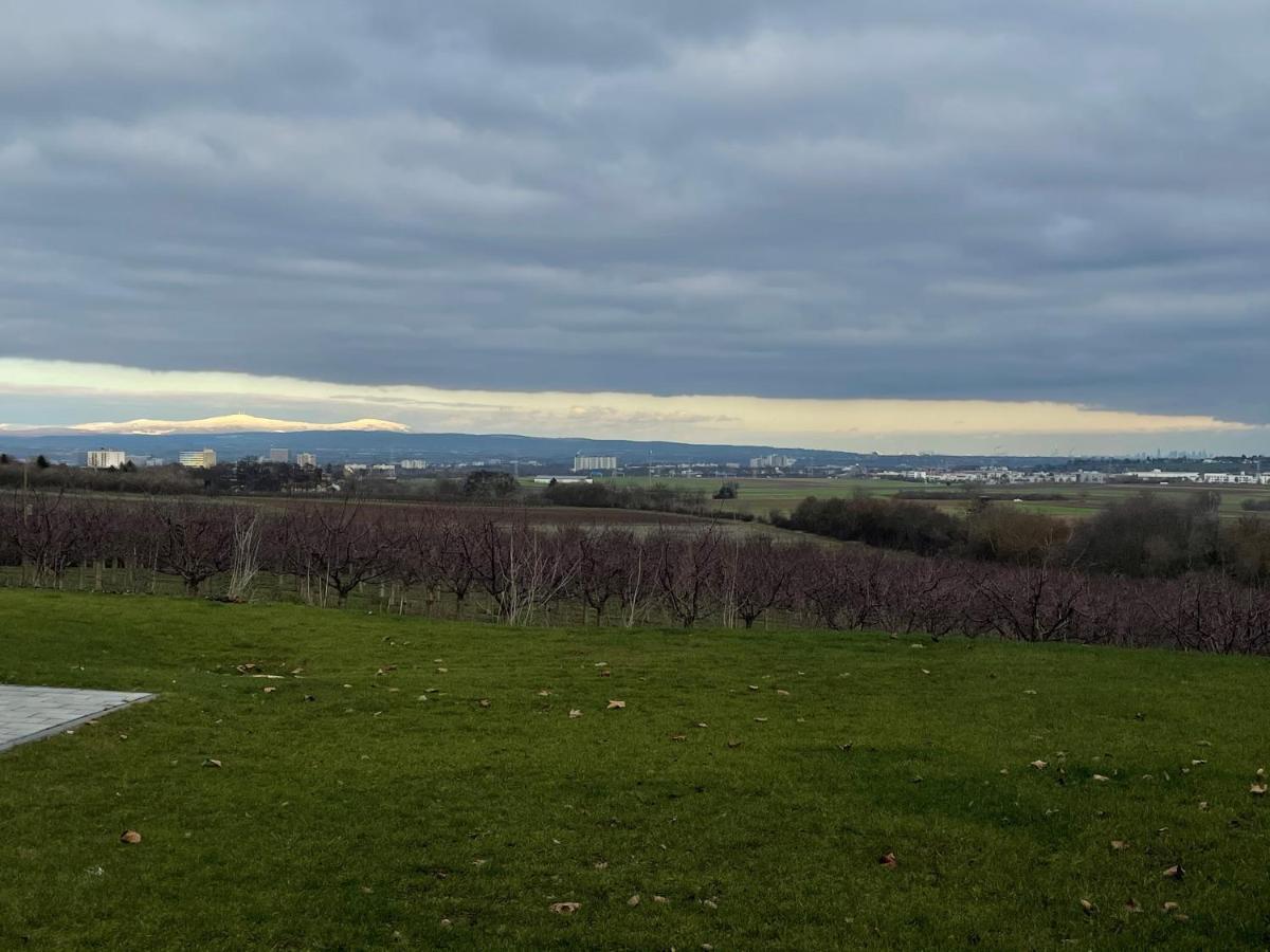Weingut Bugner Meizelhof Klein-Winternheim Ngoại thất bức ảnh
