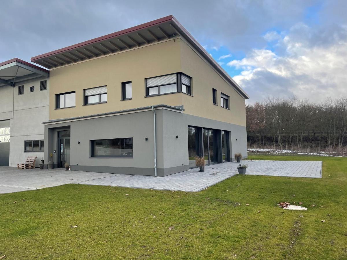 Weingut Bugner Meizelhof Klein-Winternheim Ngoại thất bức ảnh